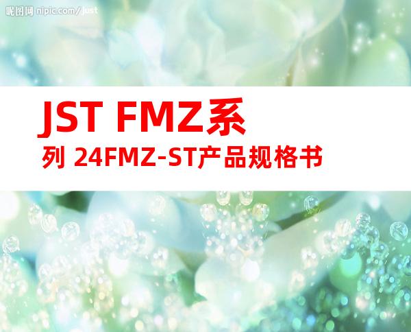 JST FMZ系列 24FMZ-ST产品规格书